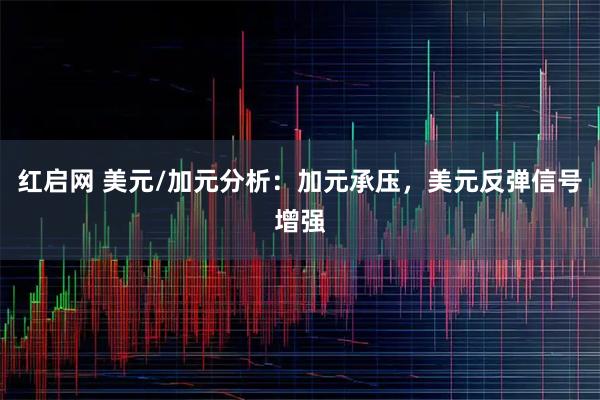红启网 美元/加元分析：加元承压，美元反弹信号增强