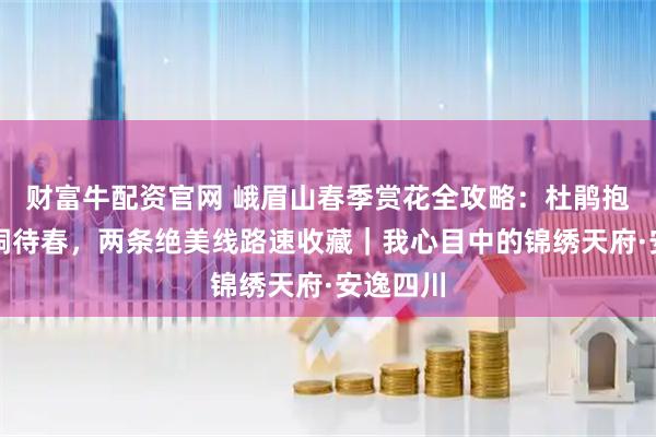 财富牛配资官网 峨眉山春季赏花全攻略：杜鹃抱雪，珙桐待春，两条绝美线路速收藏｜我心目中的锦绣天府·安逸四川